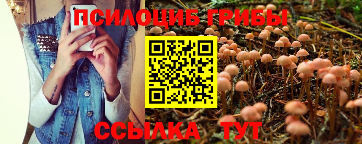 Майский  Галлюциногенные грибы MAGIC MUSHROOMS  Вход с VPN 